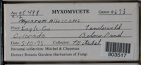 Image Associated With the Occurence